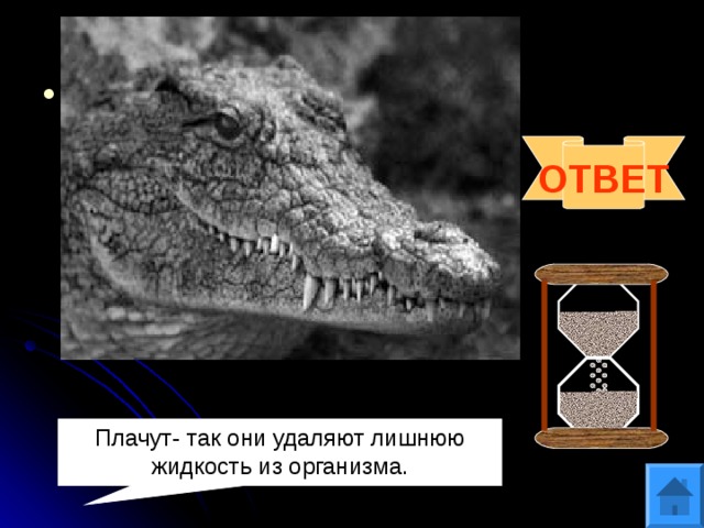 Вопрос 5 Существует выражение «лить крокодиловы слёзы». А плачут ли крокодилы на самом деле, если да то почему ? ОТВЕТ Плачут- так они удаляют лишнюю жидкость из организма. 