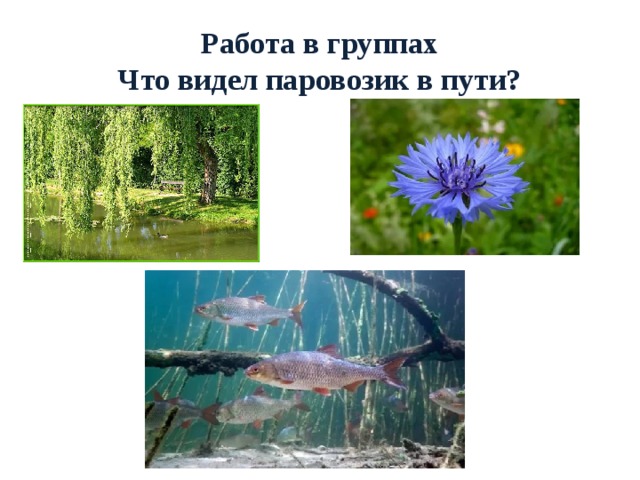 Работа в группах  Что видел паровозик в пути? 