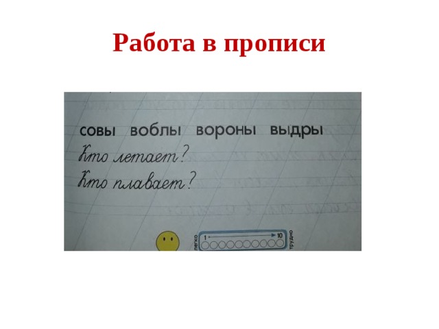 Работа в прописи 