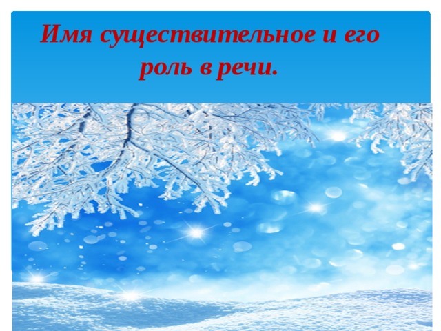 Имя существительное и его роль в речи. 