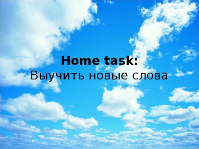 Home task:  Выучить новые слова 