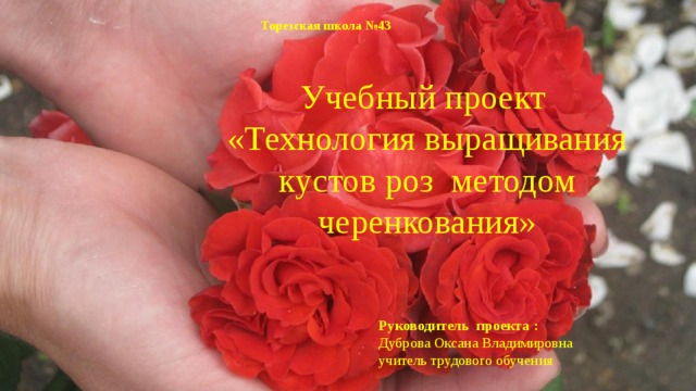 Торезская школа №43 Учебный проект «Технология выращивания кустов роз методом черенкования» Руководитель проекта :  Дуброва Оксана Владимировна учитель трудового обучения 