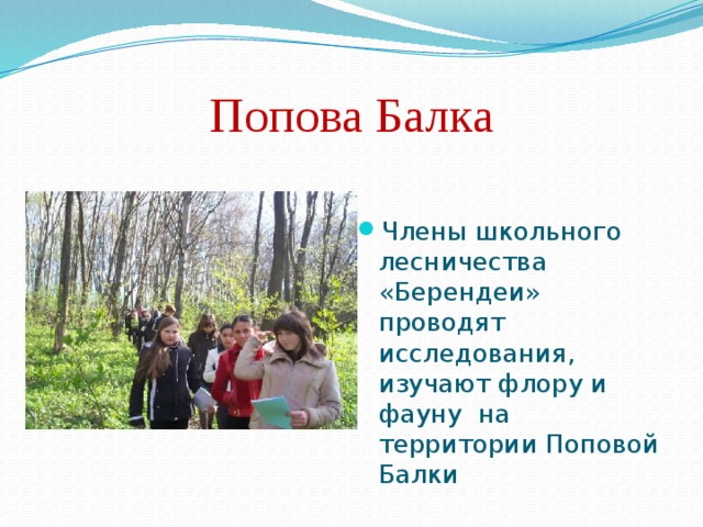 Попова Балка Члены школьного лесничества «Берендеи» проводят исследования, изучают флору и фауну на территории Поповой Балки 