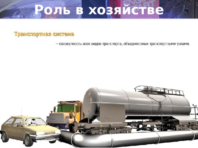 Роль в хозяйстве 