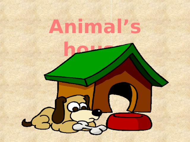Animal’s house 