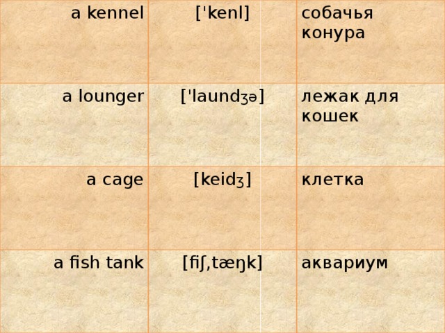 a kennel ['kenl] a lounger собачья конура ['laund ʒə ] a cage лежак для кошек [keid ʒ ] a fish tank клетка [fiʃ,tæŋk] аквариум 