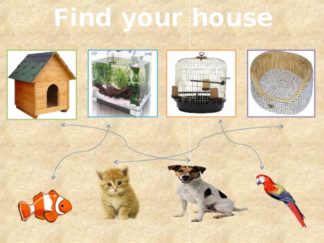 Find your house 