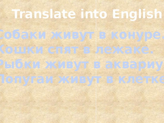 Translate into English Собаки живут в конуре. Кошки спят в лежаке. Рыбки живут в аквариуме. Попугаи живут в клетке. 