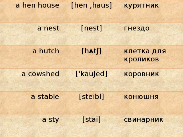 a hen house [hen ,haus] a nest курятник [nest] a hutch a cowshed [h ʌ t ʃ] гнездо клетка для кроликов ['kauʃed] a stable коровник [steibl] a sty конюшня [stai] свинарник 