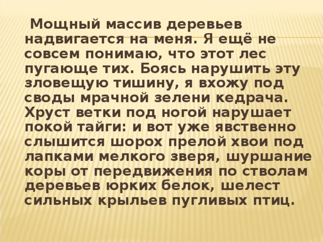  Мощный массив деревьев надвигается на меня. Я ещё не совсем понимаю, что этот лес пугающе тих. Боясь нарушить эту зловещую тишину, я вхожу под своды мрачной зелени кедрача. Хруст ветки под ногой нарушает покой тайги: и вот уже явственно слышится шорох прелой хвои под лапками мелкого зверя, шуршание коры от передвижения по стволам деревьев юрких белок, шелест сильных крыльев пугливых птиц. 