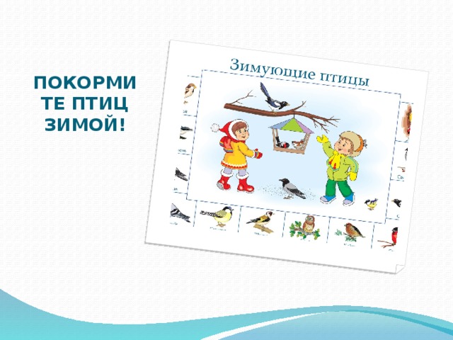 ПОКОРМИТЕ ПТИЦ ЗИМОЙ! 
