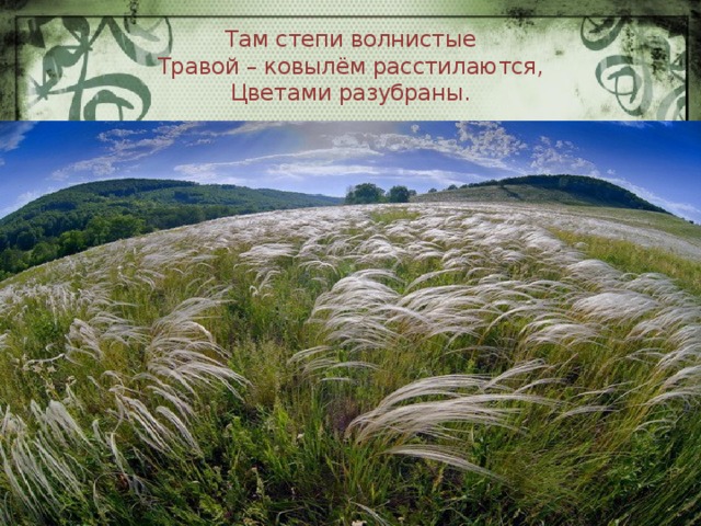 Там степи волнистые  Травой – ковылём расстилаются,  Цветами разубраны. 