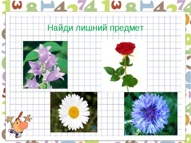 Найди лишний предмет