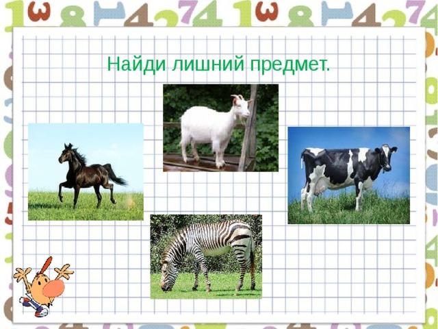 Найди лишний предмет.