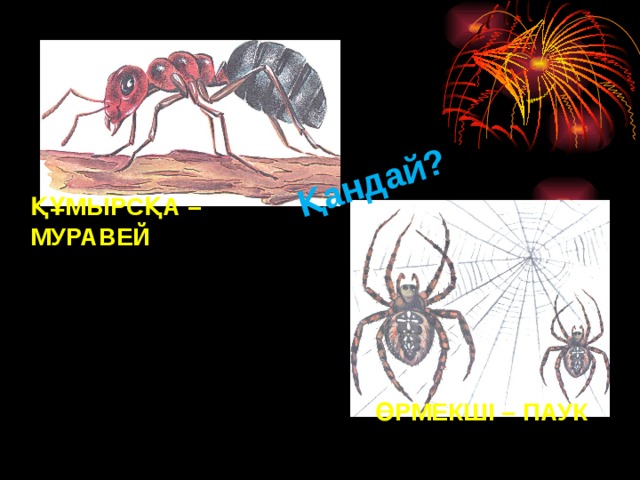Қандай? ҚҰМЫРСҚА – МУРАВЕЙ ӨРМЕКШІ – ПАУК 