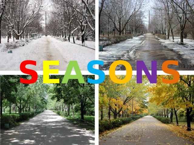S E A S O N S 