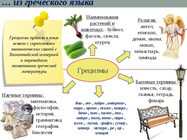 … из греческого языка Наименования растений и животных : буйвол, фасоль, свекла, огурец Религия: ангел, епископ, демон, икона, монах, монастырь, лампада  Грецизмы пришли в язык всвязи с укреплением экономических связей с Византийской империей и переводами памятников греческой литературы Грецизмы Бытовые термины: известь, сахар, скамья, тетрадь, фонарь Научные термины:  математика,  философия,  история,  грамматика,  география,  биология био-, гео-, гидро-, антропо-, пиро-, хроно-, психо-, микро-, демо-, тео-, палео-, нео-, макро-, поли, моно-, пара-, алло-, -логия, -графи-, супер-, интер - , экстра-, ре-, ор-,  -изация 7 