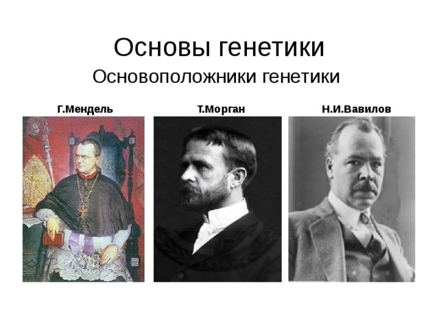 Основоположник генетик