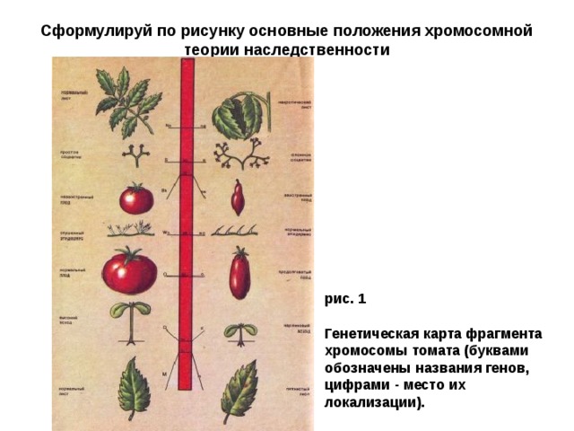 Объясните используя