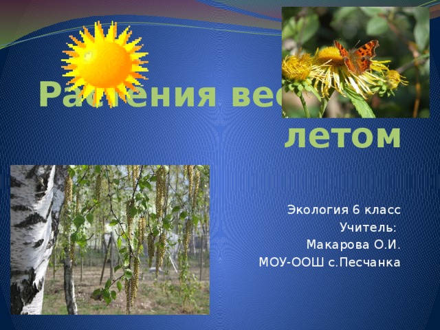 Растения весной и летом Экология 6 класс Учитель: Макарова О.И. МОУ-ООШ с.Песчанка 