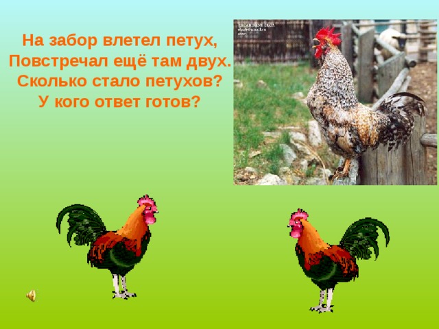 На забор влетел петух, Повстречал ещё там двух. Сколько стало петухов? У кого ответ готов? 