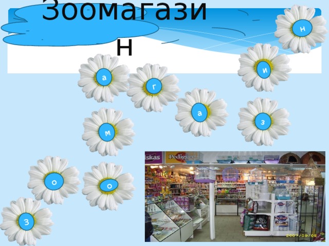 З о о м а г а з и н Зоомагазин 