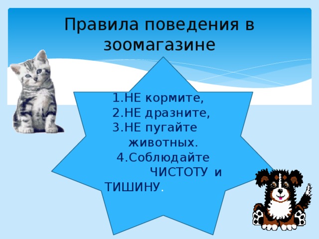 Правила поведения в зоомагазине  1.НЕ кормите,  2.НЕ дразните,  3.НЕ пугайте  животных.  4.Соблюдайте ЧИСТОТУ и ТИШИНУ . 