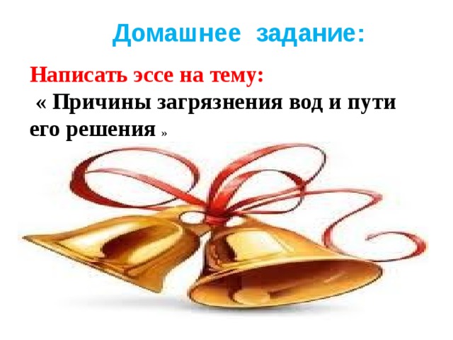 Домашнее задание: Написать эссе на тему:  « Причины загрязнения вод и пути его решения » 