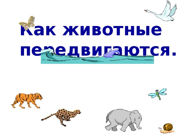 Органы опоры движения животных. Способы передвижения животных для детей. Как передвигаются звери. Кто как передвигается. Кто как передвигается картинки для детей.