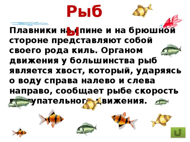 Большинство рыб являются. Скорость рыбы. Формула левой рыбки.