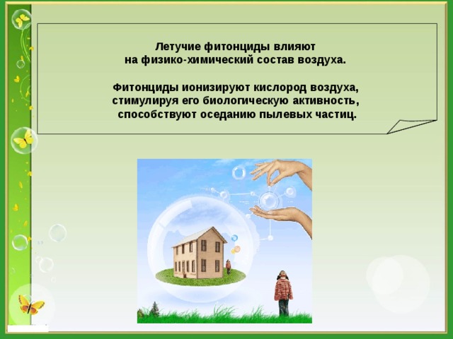   Летучие фитонциды влияют на физико-химический состав воздуха.  Фитонциды ионизируют кислород воздуха, стимулируя его биологическую активность, способствуют оседанию пылевых частиц.  