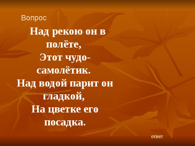 Вопрос     Над рекою он в полёте,   Этот чудо-самолётик.   Над водой парит он гладкой,   На цветке его посадка. ответ 