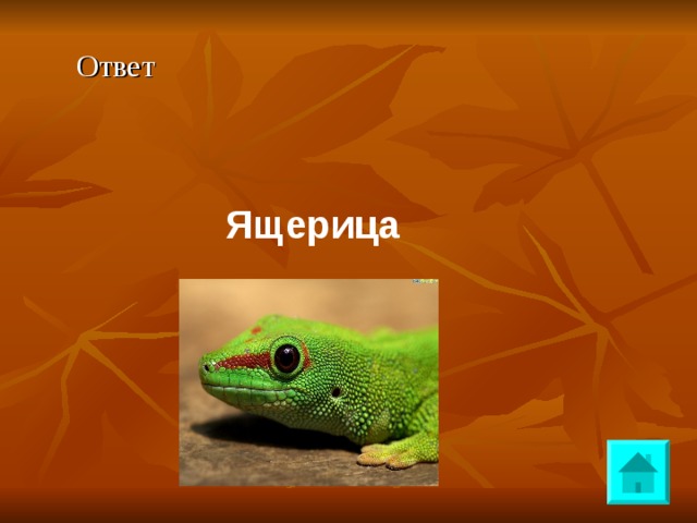 Ответ Ящерица 