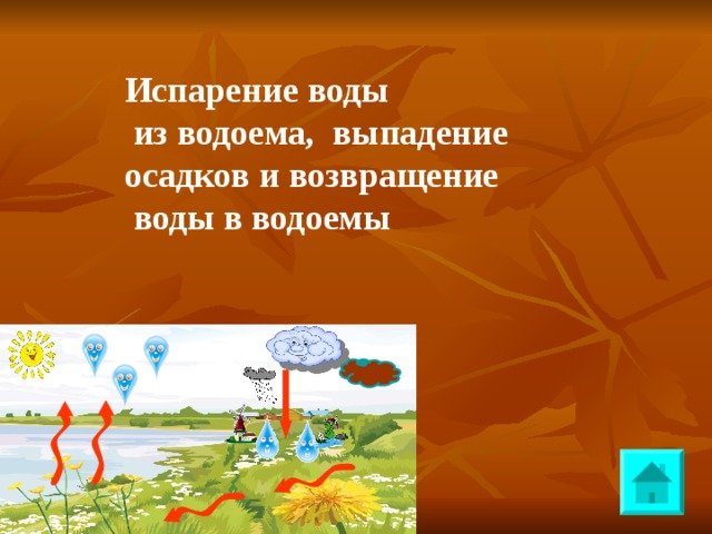 Испарение воды  из водоема, выпадение осадков и возвращение  воды в водоемы 