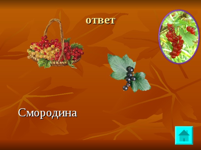 ответ Смородина 