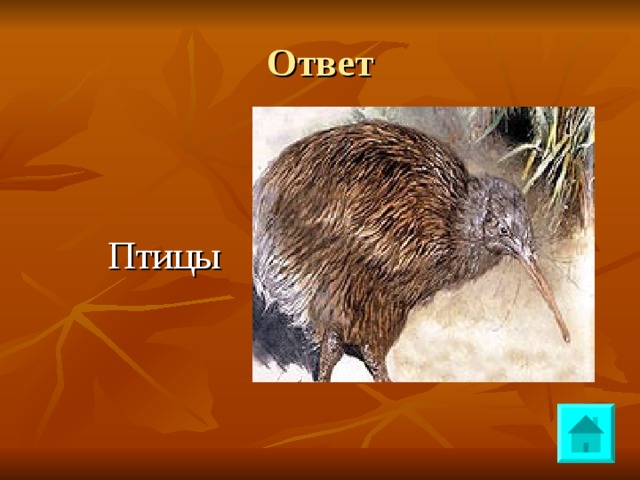 Ответ  Птицы 