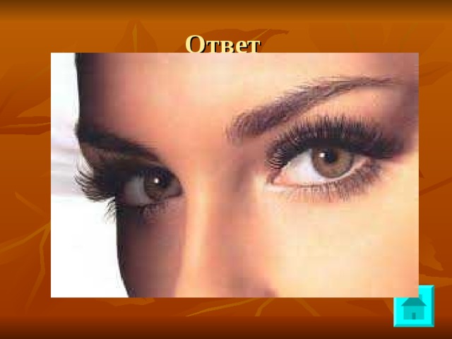 Ответ 