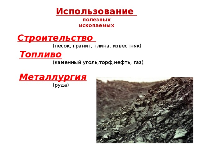 Процесс образования какой органической горной породы показан на рисунке нефть уголь торф