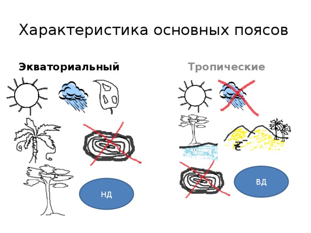 Характеристика основных поясов Экваториальный Тропические ВД НД 