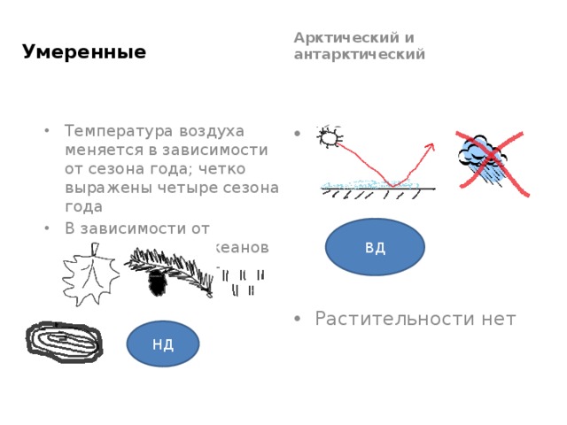 Умеренные Арктический и антарктический Температура воздуха меняется в зависимости от сезона года; четко выражены четыре сезона года В зависимости от удаленности от океанов формируются разные типы климатов. t˂0 Растительности нет ВД НД 