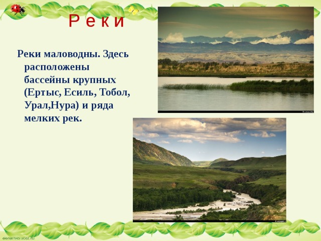  Р е к и  Реки маловодны. Здесь расположены бассейны крупных (Ертыс, Есиль, Тобол, Урал,Нура) и ряда мелких рек. 
