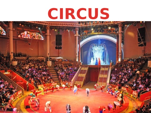 CIRCUS 