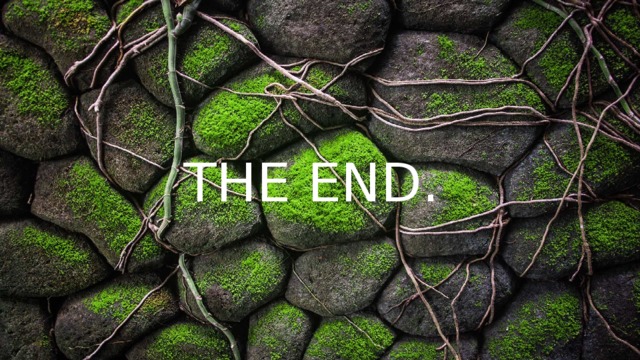 THE END . 