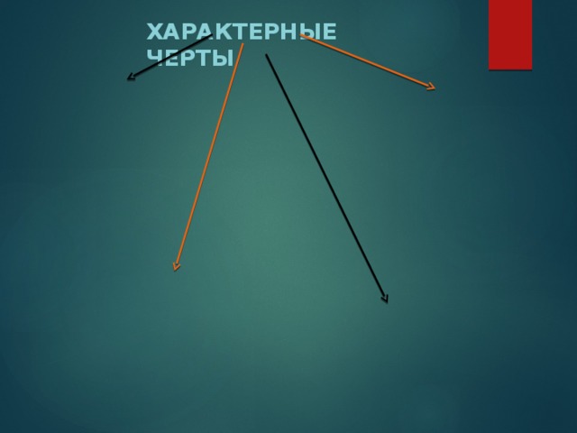 Характерные черты 