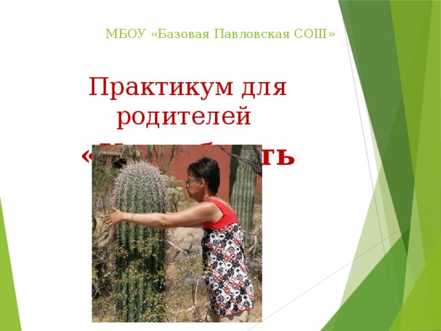 МБОУ «Базовая Павловская СОШ» Практикум для родителей «Как обнять кактус» 