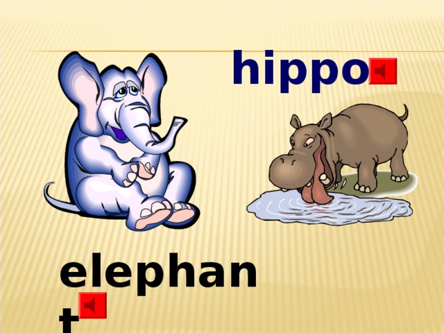 hippo elephant