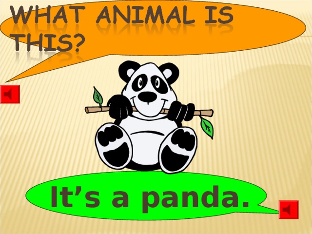 It’s a panda.