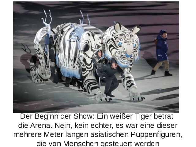 Der Beginn der Show: Ein weißer Tiger betrat die Arena. Nein, kein echter, es war eine dieser mehrere Meter langen asiatischen Puppenfiguren, die von Menschen gesteuert werden 