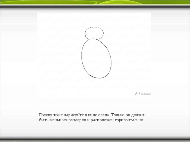 Голову тоже нарисуйте в виде овала. Только он должен быть меньших размеров и расположен горизонтально. 