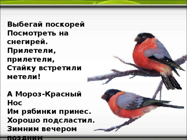 Скорее посмотри. Прокофьева Снегири стихотворение. Выбегай поскорей посмотреть на снегирей. Прокофьев Выбегай поскорей посмотреть на снегирей. Стих Выбегай поскорей посмотреть на снегирей.